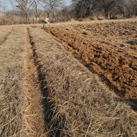 Land Preparation